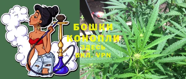 apvp Белокуриха