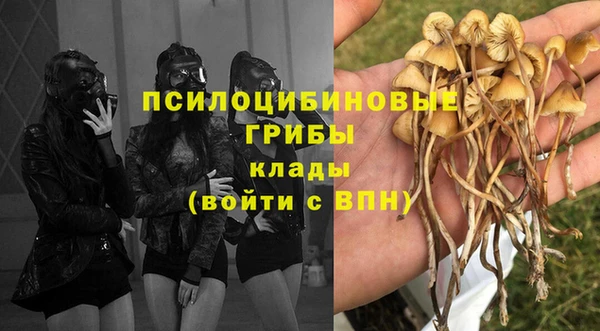 apvp Белокуриха