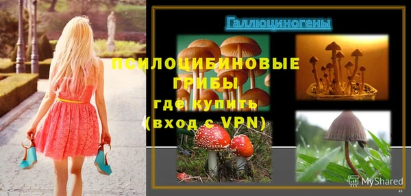 apvp Белокуриха