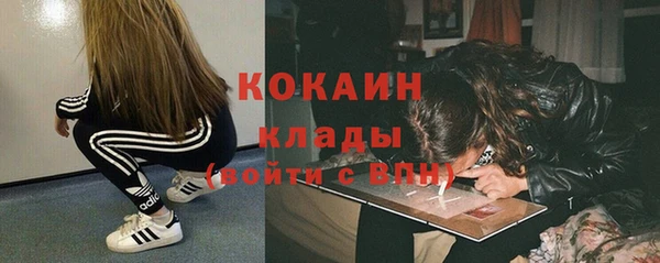 apvp Белокуриха