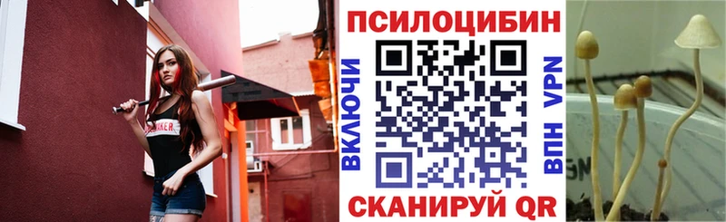 купить   Верхняя Тура  Галлюциногенные грибы MAGIC MUSHROOMS 